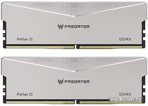 Оперативная память Acer Predator Pallas II 2x16ГБ DDR5 6600 МГц BL.9BWWR.383