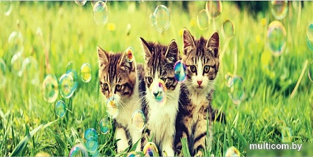 Корзина JoyArty Котята с пузырями gaba_6569