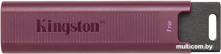USB Flash Kingston DataTraveler Max Type-A 1TB