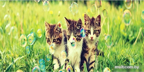 Корзина JoyArty Котята с пузырями gaba_6569