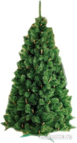Ель Sonic Oliwia 2.3 м