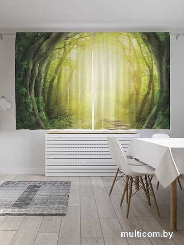 Комплект штор JoyArty Проход к лесной магии Oxford DeLux 1.45x1.8 м (2 шт)