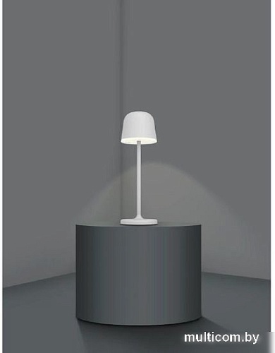 Садовый светильник Eglo Mannera 900458