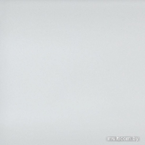 Кухонная мойка Wisent 510-28W (с сифоном GER013)