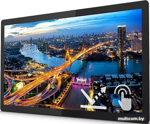 Монитор Philips 242B1TFL/00
