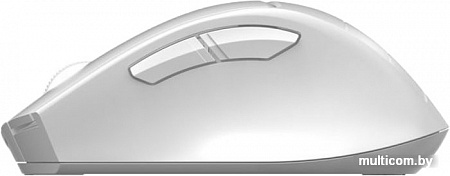 Мышь A4Tech Fstyler FG30 (белый)