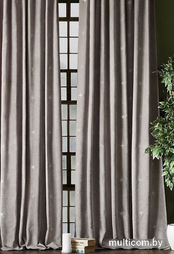 Комплект штор Pasionaria Бэлли 290x230 (2 шт, серый)