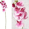 Искусственный цветок Forgarden Орхидея BN10771 (розовый)