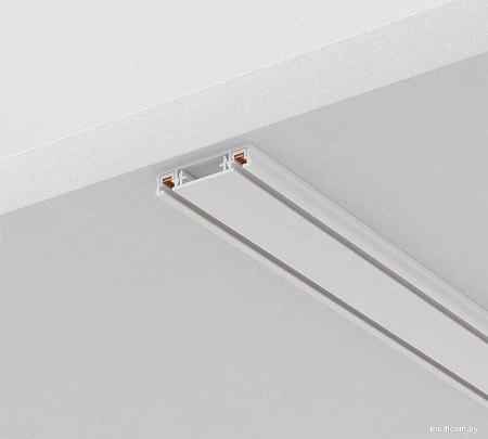 Шинопровод Maytoni Technical Busbar trunkings Radity TRX084EC-112W