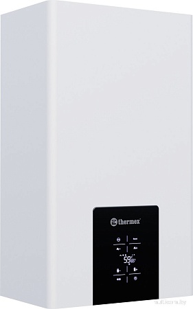 Отопительный котел Thermex Blaze FH 40