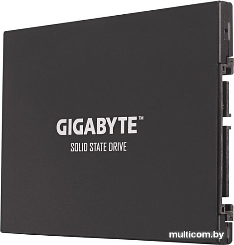SSD Gigabyte UD Pro 256GB GP-GSTFS30256GTTD