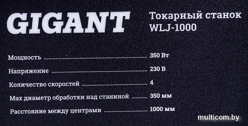 Станок Gigant WLJ-1000