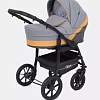 Универсальная коляска Rant Patio (2 в 1, 02, серый/желтый)