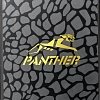 SSD Apacer Panther AS340 480GB AP480GAS340G
