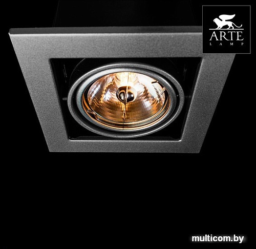 Точечный светильник Arte Lamp Cardani A5930PL-1SI