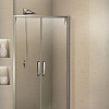 Душевая дверь WeltWasser WW900 900К2-90
