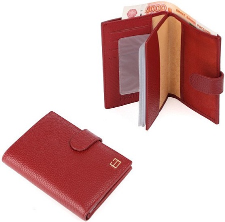 Обложка на документы Fabretti Q09D-51