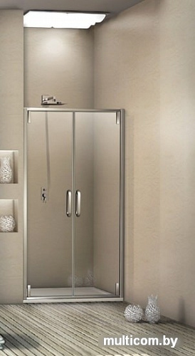 Душевая дверь WeltWasser WW900 900К2-90