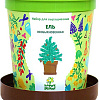 Набор для опытов Happy plant Ель необыкновенная hpn-10