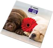 Напольные весы Hottek HT-962-016