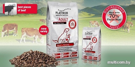 Сухой корм для собак Platinum Adult Beef & Potato 5 кг