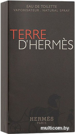 Hermes Terre d'Hermes EdT (100 мл)