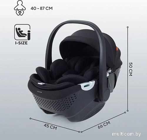 Детское автокресло Rant Aster Zero AY378 (черный)