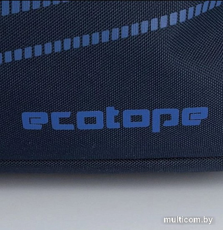 Дорожная сумка Ecotope 360-3037-NAV (синий)