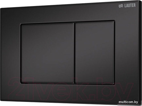 Панель смыва Lauter 219704J (черный)
