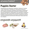 Сухой корм для собак Probalance Starter (для щенков) 2 кг