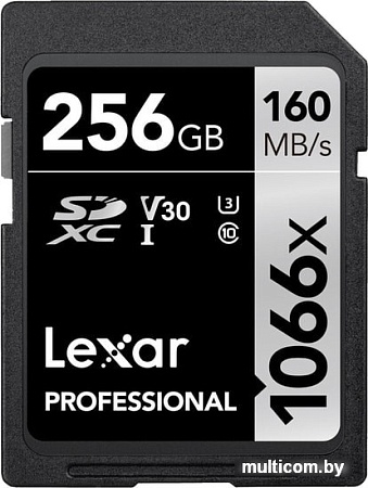 Карта памяти Lexar Professional 1066x SDXC LSD1066256G-BNNNG 256GB