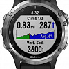 Умные часы Garmin Fenix 5 Plus Sapphire (серебристый/черный)