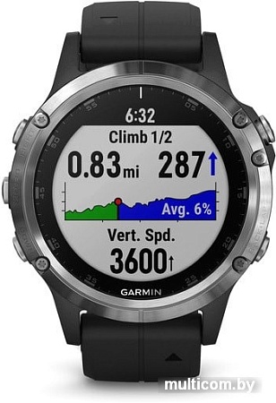 Умные часы Garmin Fenix 5 Plus Sapphire (серебристый/черный)