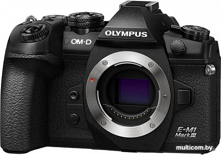 Беззеркальный фотоаппарат Olympus OM-D E-M1 mark III Body