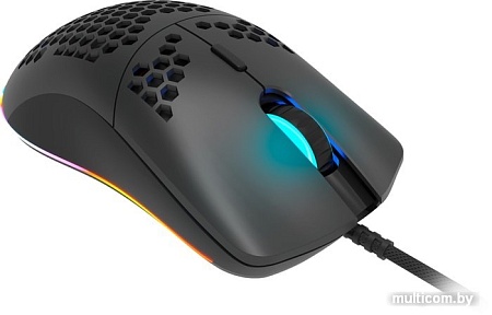 Игровая мышь Canyon Puncher GM-11 (черный)