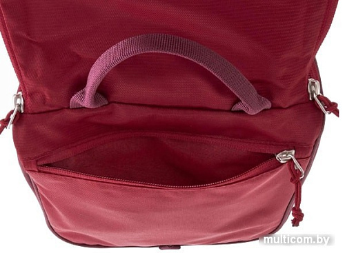 Косметичка Deuter Wash Center II 3900520 5528 (cranberry/maron)