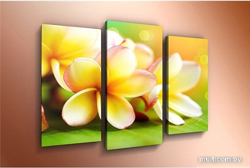 Модульная картина Arthata m-000502 120x80