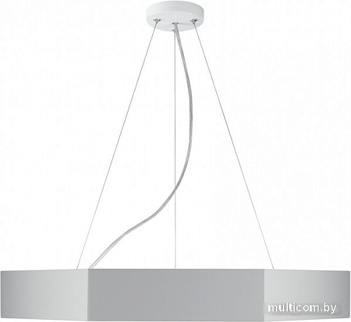 Подвесная люстра ЭРА Geometria Hexagon SPO-124-W-40K-051 Б0058882
