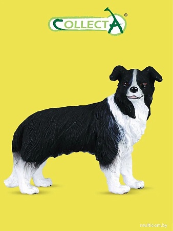 Collecta Собака Бордер-колли 88010b