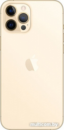 Смартфон Apple iPhone 12 Pro Max 512GB (золотой)