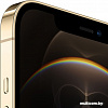 Смартфон Apple iPhone 12 Pro Max 128GB (золотой)