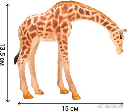 Игровой набор Masai Mara На ферме ММ205-038