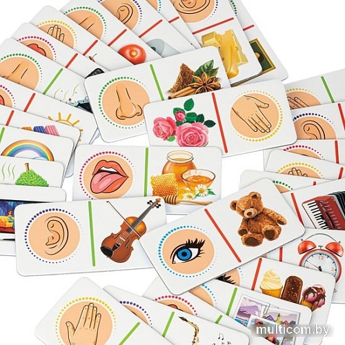 Развивающая игра Bondibon Домино 5 Чувств ВВ4876