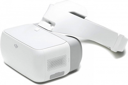 DJI Goggles