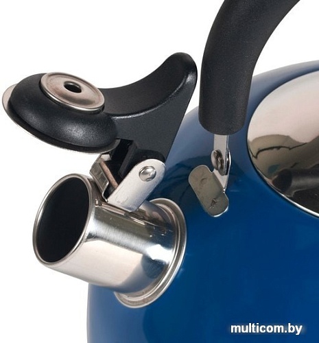 Чайник со свистком Endever Aquarelle-301