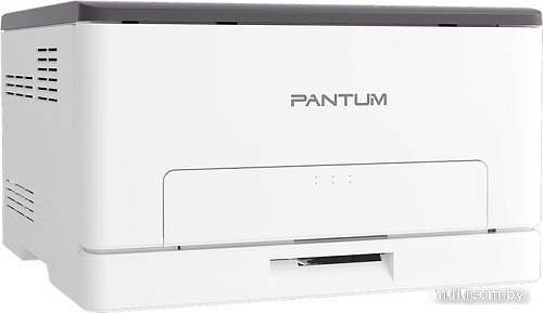 Принтер Pantum CP1100