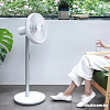Вентилятор Xiaomi Smartmi Standing Fan 3S