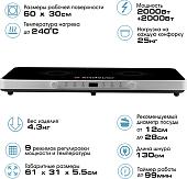 Настольная плита Endever Skyline IP-61