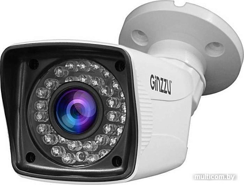 CCTV-камера Ginzzu HAB-2036P