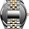 Наручные часы Timex TW2V17500